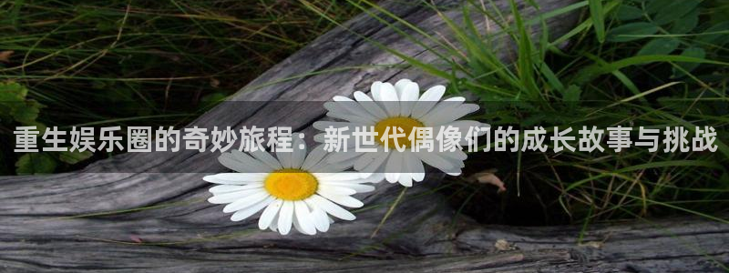 庄闲和游戏官网