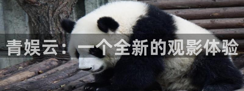庄闲和游戏官网